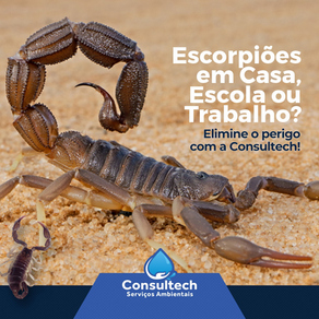 Escorpiões em Casa, Escola ou Trabalho? Elimine o perigo com a Consultech!