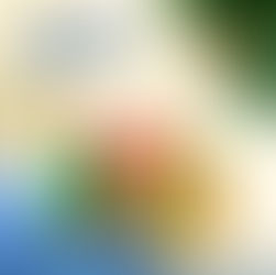 Celebre o Natal em grande estilo com a cesta Noite Feliz!