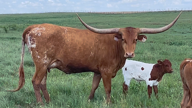 DATE OF BIRTH 01/20/2020