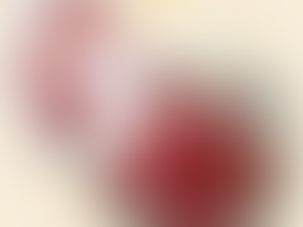 Sélection du mois de Avril