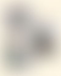 Sélection du mois de Décembre