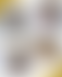 Sélection du mois de Mars