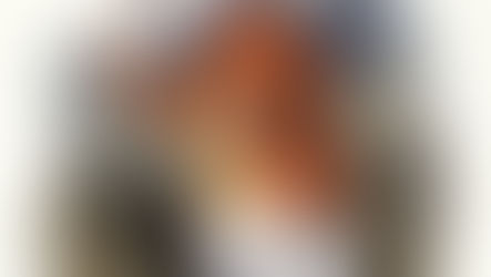 31. Pieds, coudées et lapins blancs : comment donner un sens à la Grande Pyramide