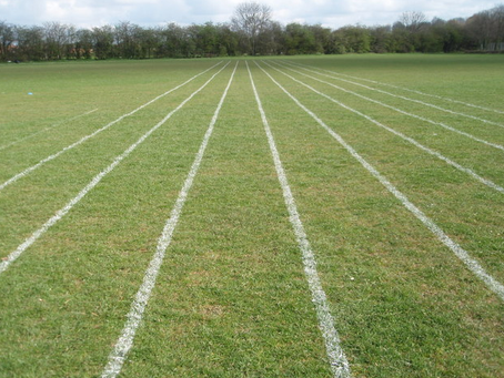 11. Can an AI Have Interests?