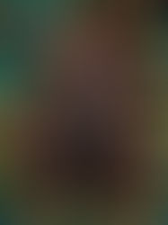 The new-look Monarchs boast almost an entirely new roster