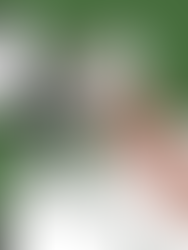 Opinion: Sports and politics are almost inseparable and always empower athletes