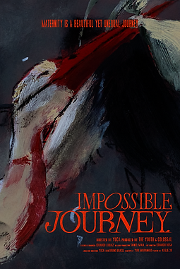 Cartaz - Impossible Journey.png