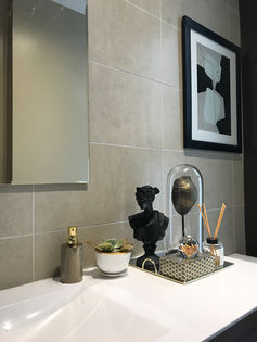 Proyecto San Carlos II