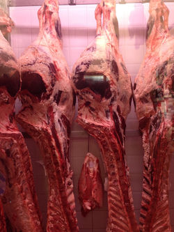 Carne del Butcher