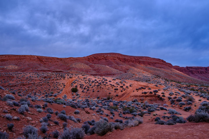 documentary photography -desert - utah