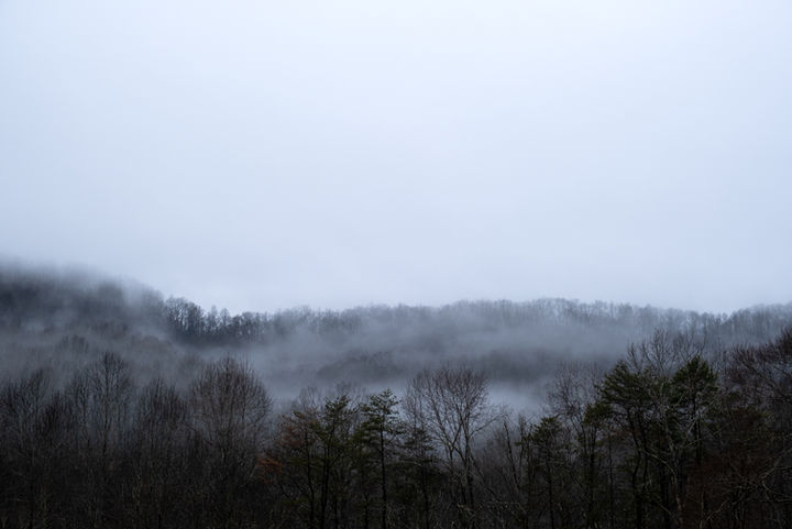 documentary photography - rural Americana - memory - West Virginia - 2022 - pandemic - fog - dusk - mountain top - treeline - nature
