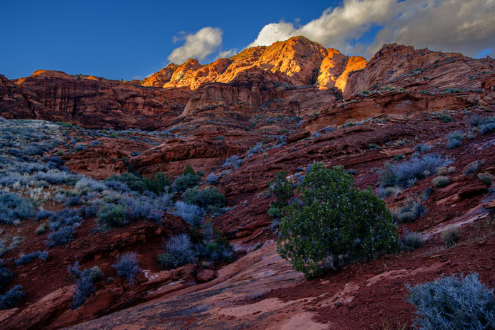 documentary photography -desert - utah