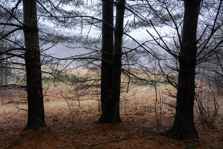 documentary photography - rural Americana - memory - West Virginia - 2022 - pandemic -trees - mist - mountain