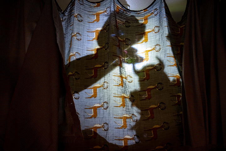 puppets - shadows - fabric - documentary photography - rural Americana - memory - West Virginia - 2022 - pandemic