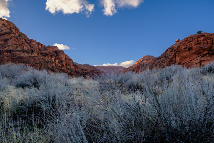 documentary photography -desert - utah