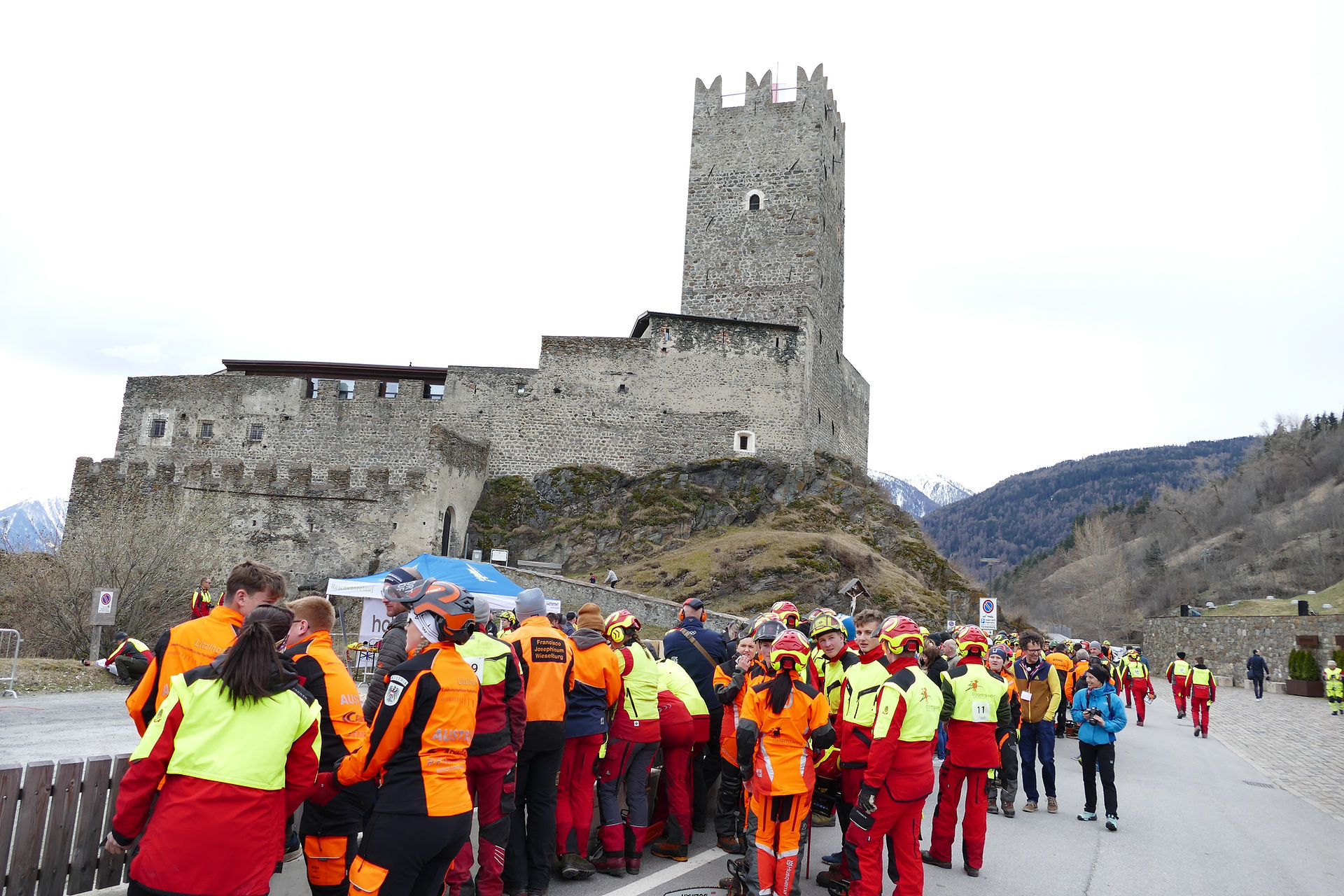 Studenti alle olimpiadi forestali Alpe Adria