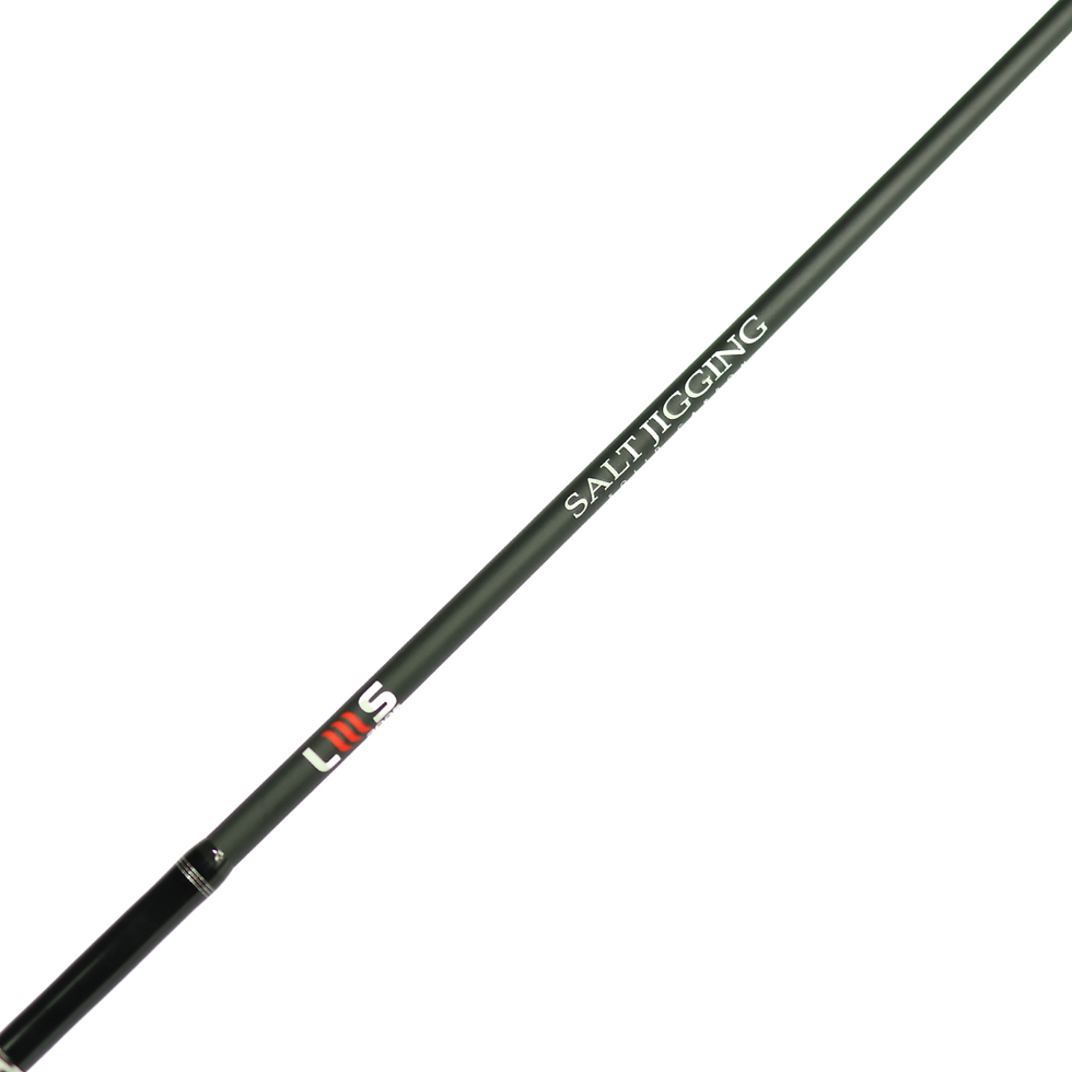 Miniatura: Vara Salt Jigging P/carretilha 6'0" Pe 3 Lumis