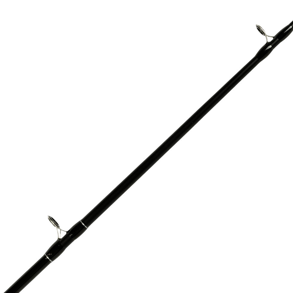 Miniatura: Vara Exsence Blue P/carretilha 6'0" 10-25lbs 2p Lumis