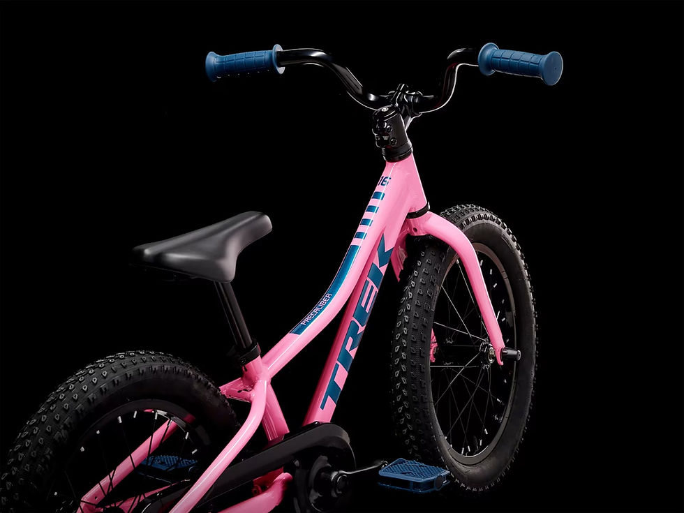 Miniatura: Precaliber 16