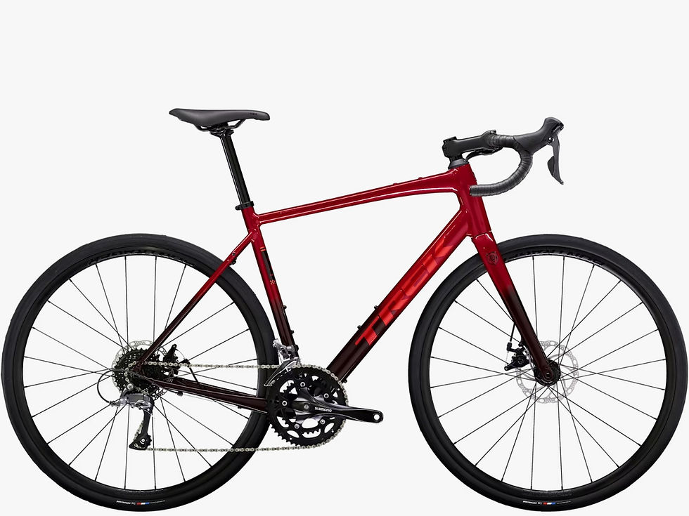 Miniatura: Domane AL 2