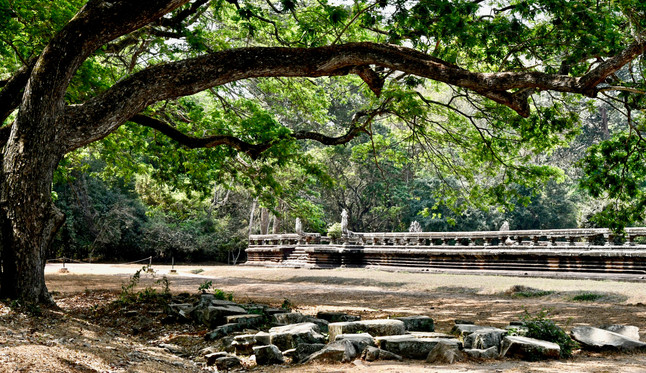 Angkor Wat
