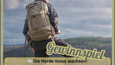 Gewinnspiel