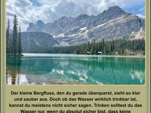 Wasser in der Natur: Trinkbar oder nicht?