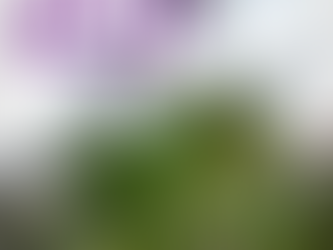 GBH | Marijuana's new drug classification