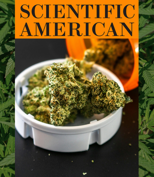 Scientific American | Medical Marijuana Reclassification