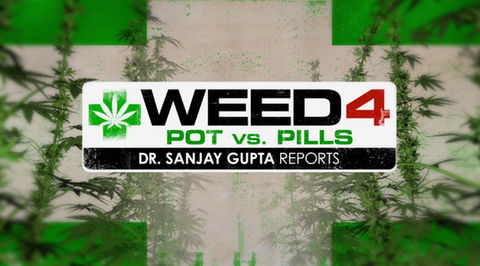 cnn-weed-4.jpg