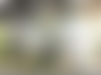 바이오씨앤씨, 축분뇨 활용 바이오차 시범사업 선정 