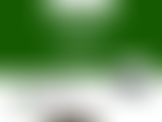 가축분뇨를 바이오차 친환경비료로 재활용