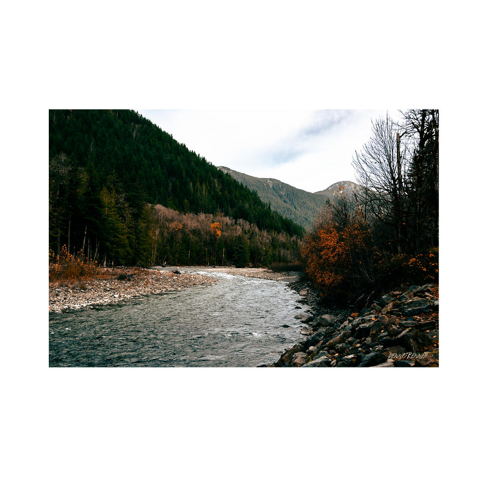 Photo print of a river surrounded by deep green trees and hints of rusty orange