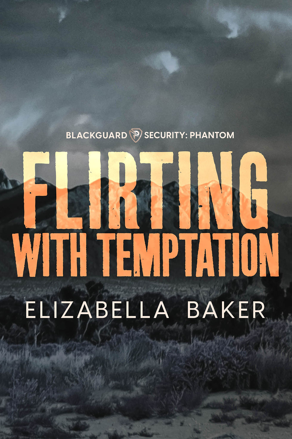Signed Special Edition of Flirting With Temptation
