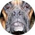 unnamed (2).png