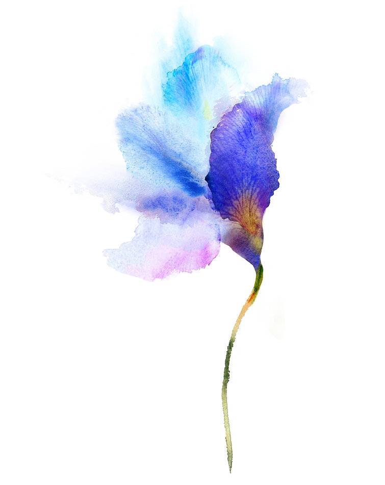 AdobeStock_57521576.jpeg