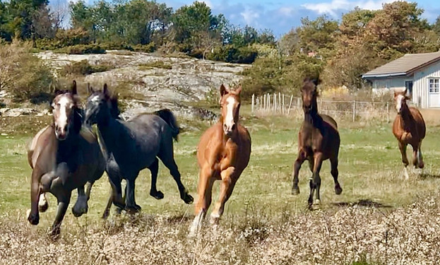 95488133_3621737117843091_66110715790842