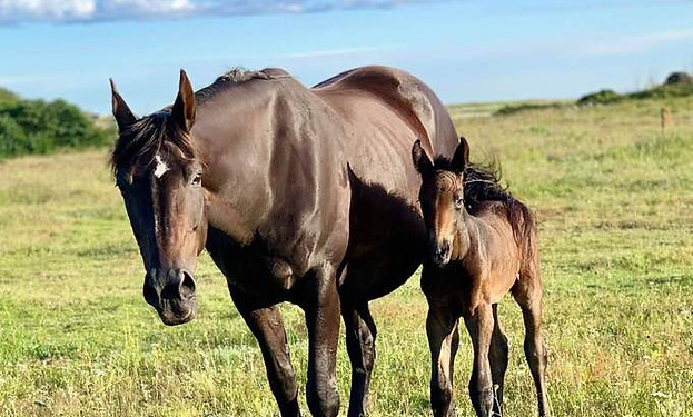 66154846_1394330237387964_88433628996918