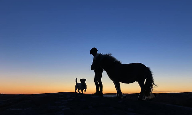 44226211_2425360560814092_44674768521721