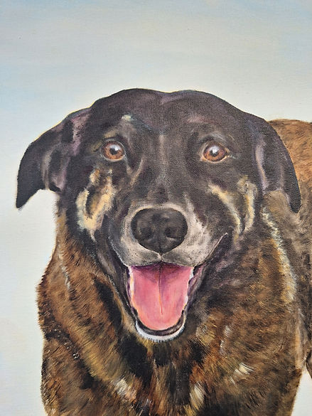 Busto da obra de arte do Cão Orelha feita pela Fátima Münch