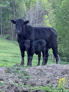 MARGO AND HER MAMA 2026.jpg