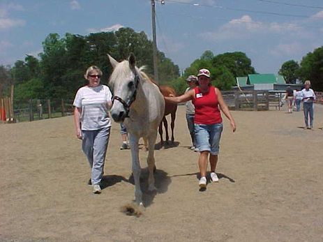 What is Equine Assisted Learning