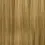 Thumbnail: X-PRESSION Pre- Stretched Braid MAIN COLORS