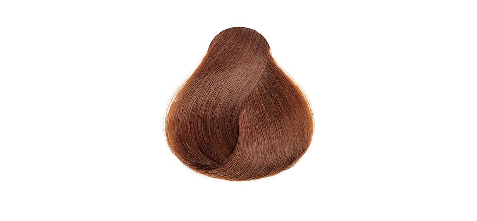 Thumbnail: Excellence by L'Oreal HiColor Browns For Dark Hair Only