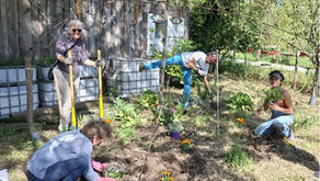 Newsletter N°31 Juin 2026