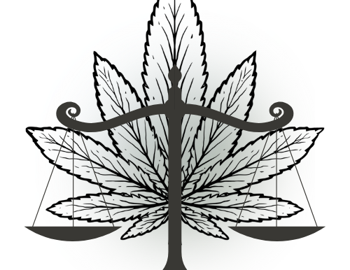New Mexico's Response to Federal Medical Cannabis Rescheduling