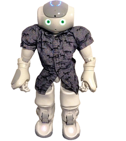 Nao Robot Home Assistant
