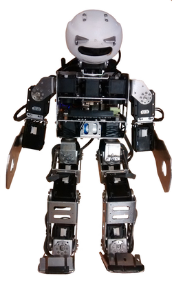 Drake Robot (Walking/Line following)