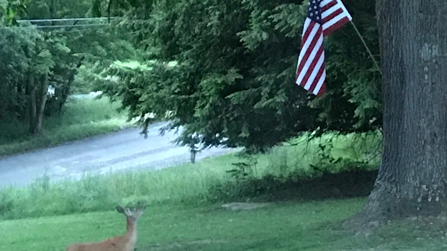 Oakland Municipal Township, Butler County, Pennsylvania