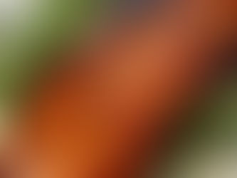 Christmas Salmon With Sticky Glaze